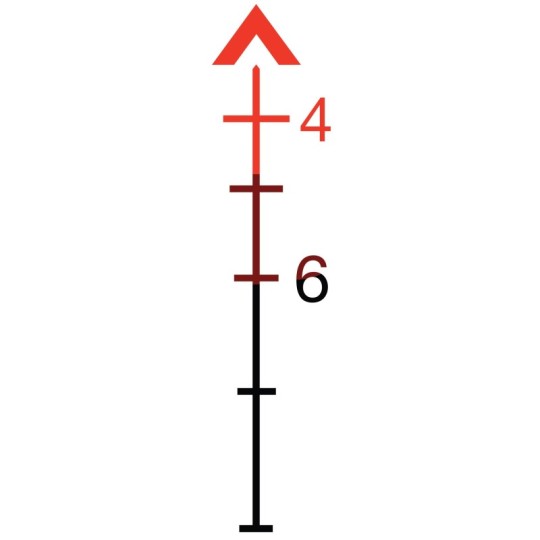 Trijicon, ACOG Scope, Dual Illuminated Red Chevron .223 Reticle